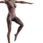 Anatomy for Massage Therapists: A Comprehensive Guide-0